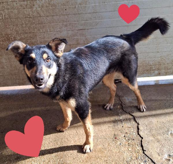 Ada...musino da baciare Foto 3