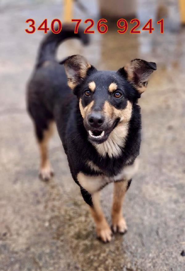 Ada...musino da baciare Foto 6