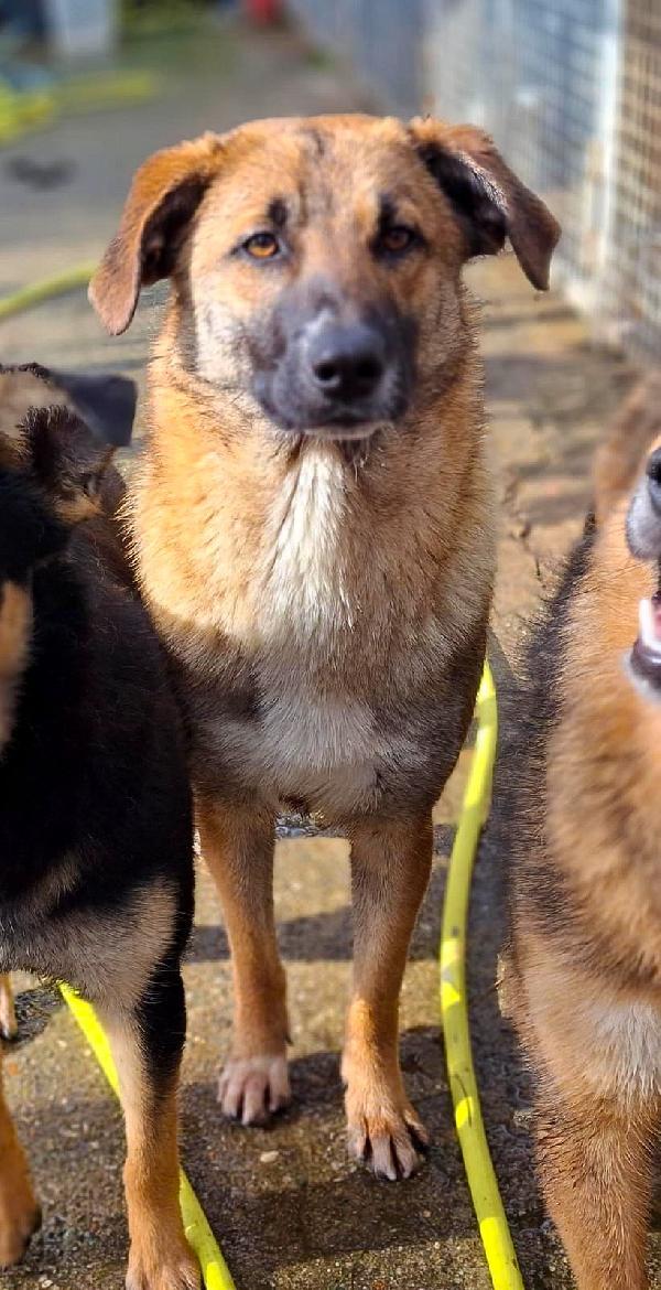 Bea... 11 Mesi, Ora Aspetta Te