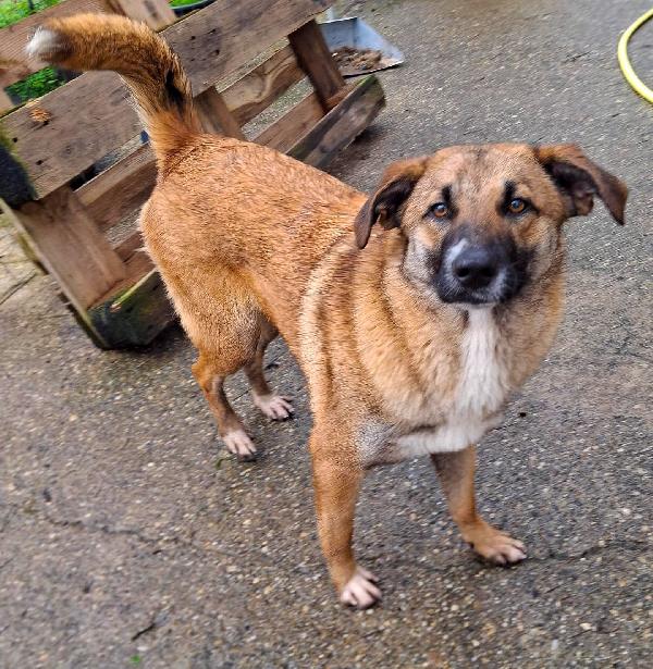 Bea... 11 mesi, ora aspetta te Foto 2