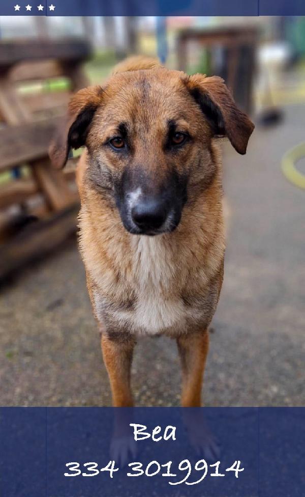 Bea... 11 mesi, ora aspetta te Foto 3