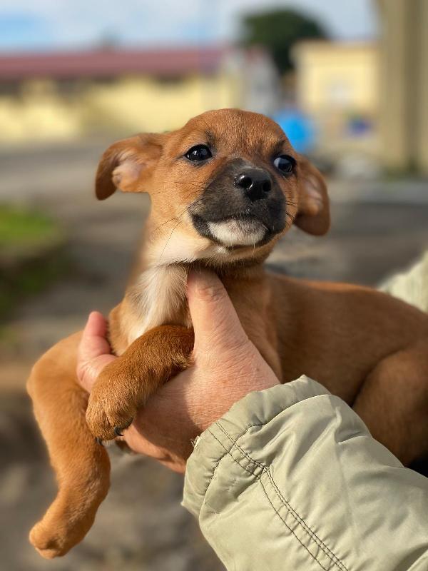 Ballerina...una tenerezza indinita Foto 3