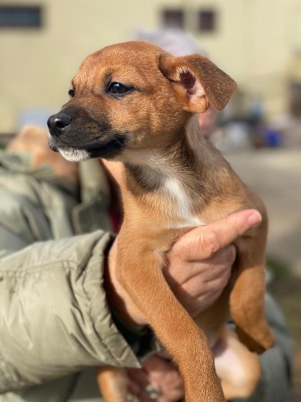 Ballerina...una tenerezza indinita Foto 7