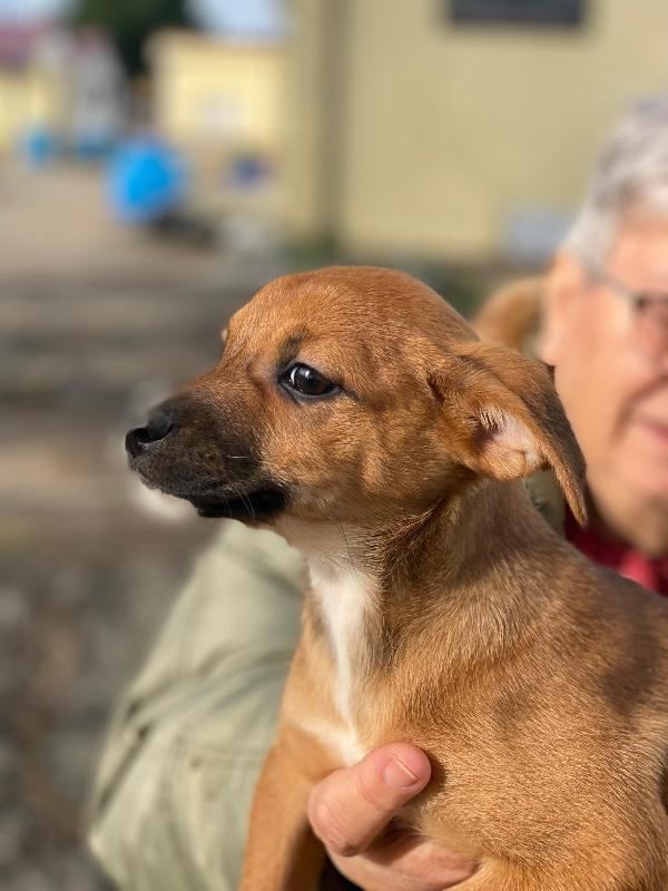 Ballerina, la amerete Foto 4