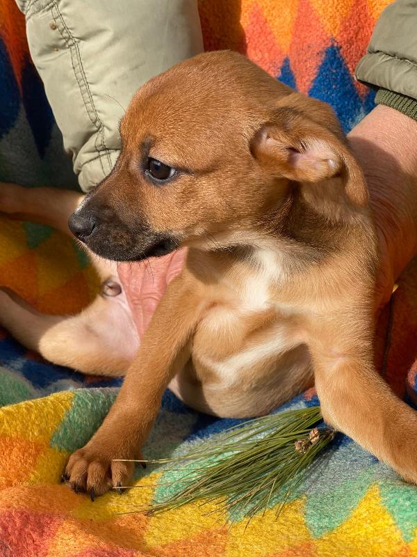 Ballerina, la amerete Foto 7