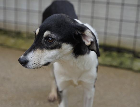 Licia delicata e tranquilla Foto 7