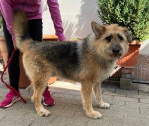 SPANK SPERA SEMPRE Foto 7