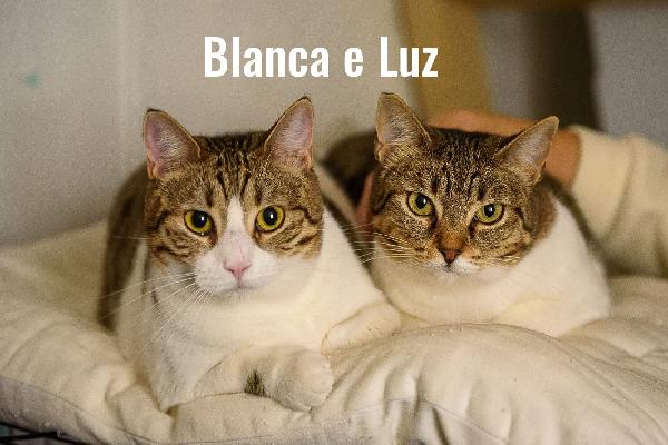 Luz E Blanca