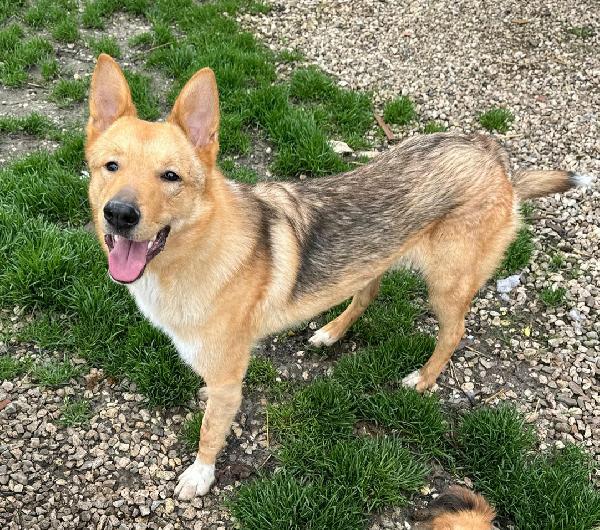 Loris 1 Anno Taglia Media 