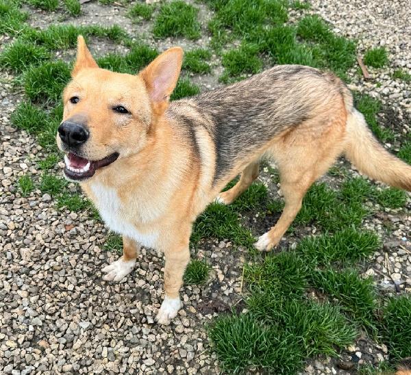 Loris 1 anno taglia media  Foto 2