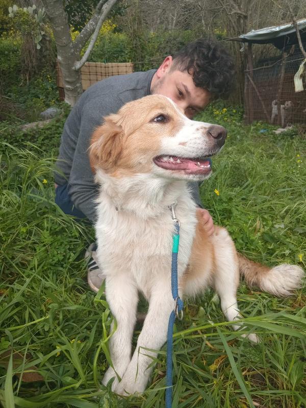 UNA MAMMA PER MEGGY Foto 2