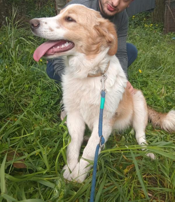 UNA MAMMA PER MEGGY Foto 3