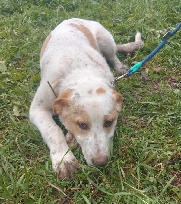 Una Mamma Per Moockie 