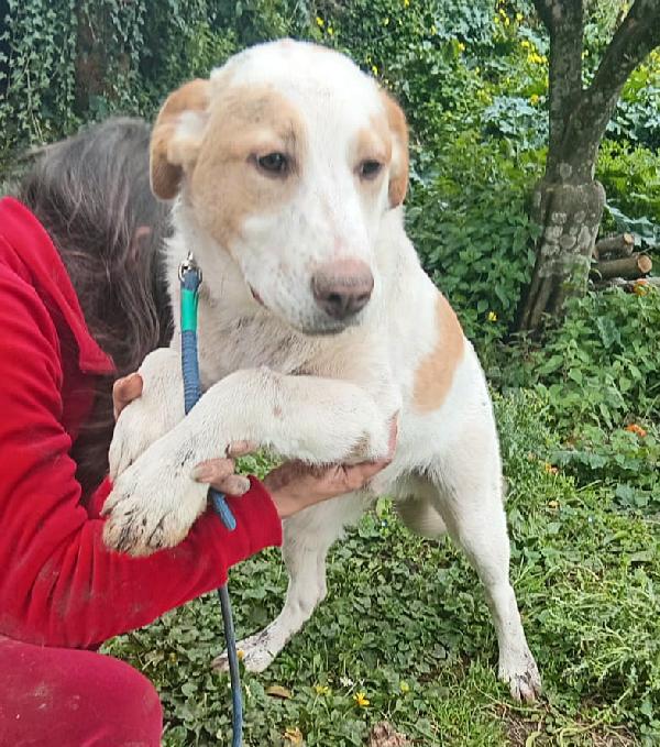 UNA MAMMA PER MOOCKIE  Foto 2