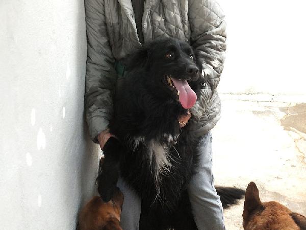 Rupert Buono E Socievole