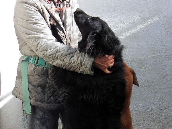 Rupert buono e socievole Foto 2