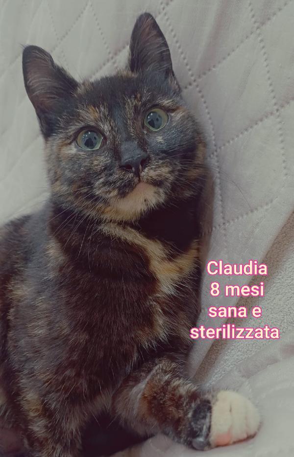 Tenerissimi Micini Esclusi Da Tutti 