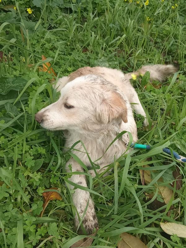 UNA MAMMA PER TACO Foto 3