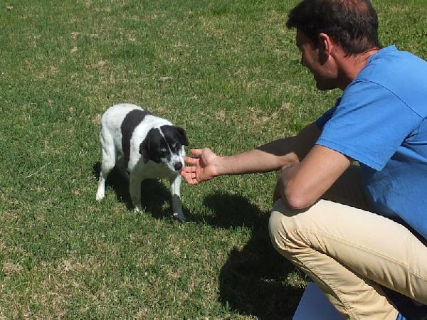 Casper (taglia mediopiccola) Foto 3