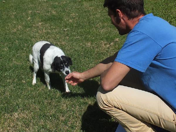 Casper (taglia mediopiccola) Foto 4