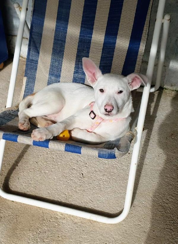 Giorgia Aspetta La Sua Famiglia 