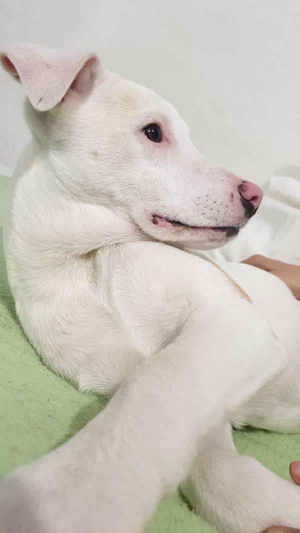 Giorgia aspetta la sua famiglia  Foto 2