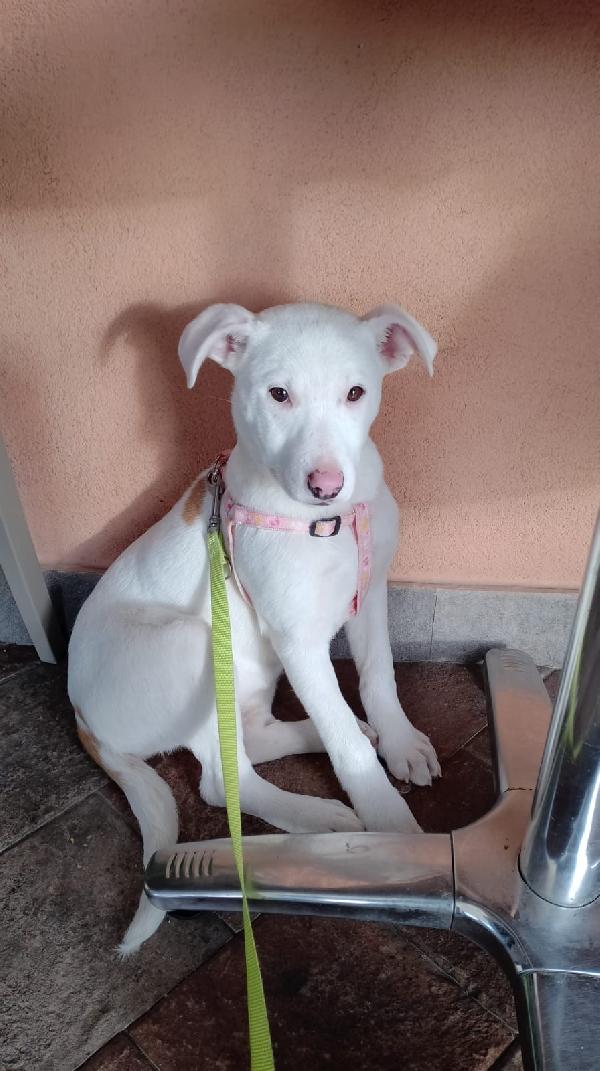 Giorgia aspetta la sua famiglia  Foto 3