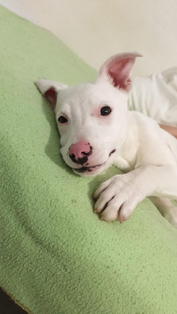 Giorgia aspetta la sua famiglia  Foto 4