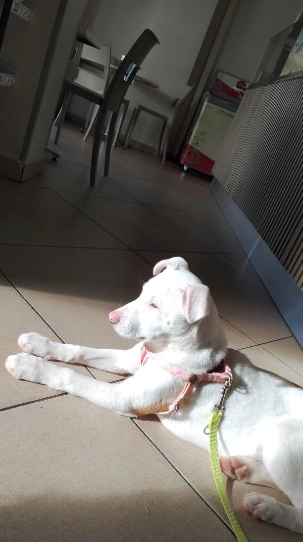 Giorgia aspetta la sua famiglia  Foto 5