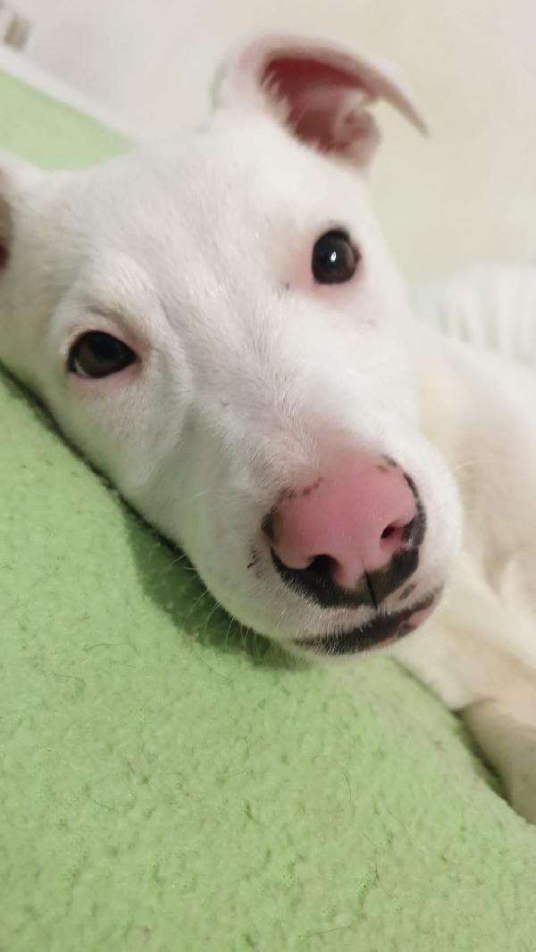 Giorgia aspetta la sua famiglia  Foto 8