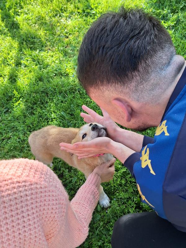 Heidi cerca casa  Foto 3