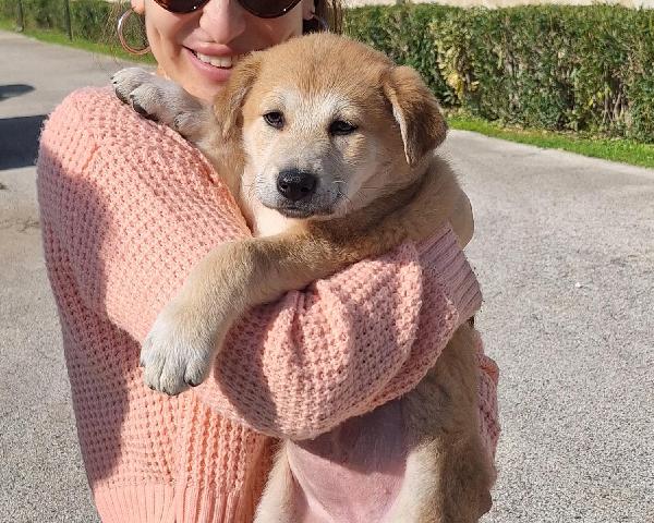 Heidi cerca casa  Foto 7