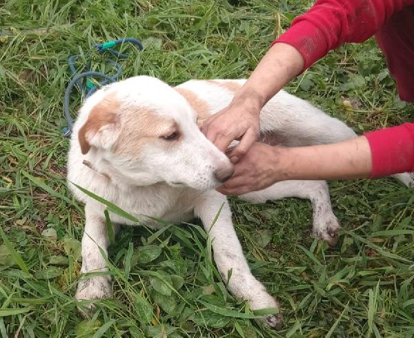 UNA MAMMA PER COOCKIE  Foto 3