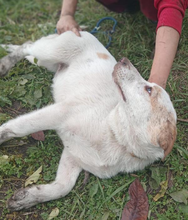 UNA MAMMA PER COOCKIE  Foto 5