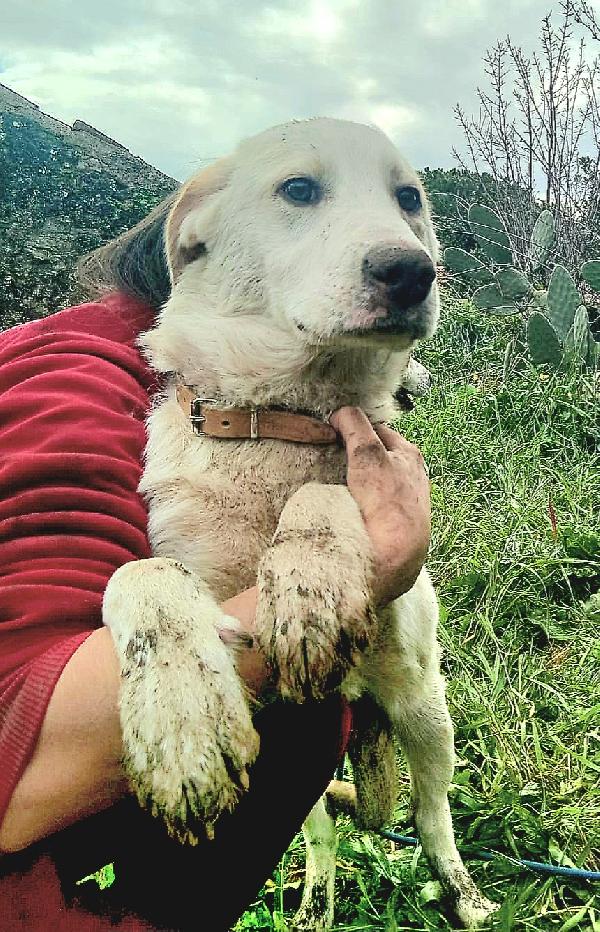 UNA MAMMA PER YAGO Foto 2