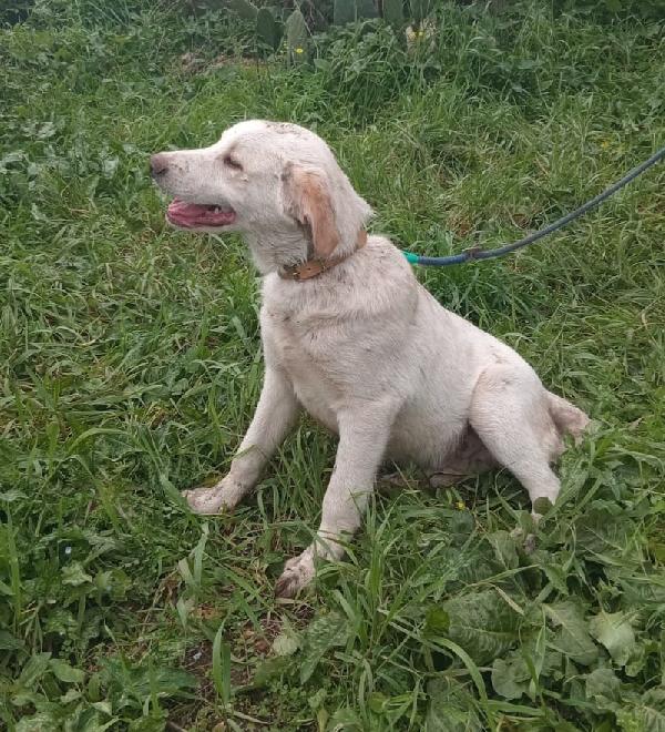 UNA MAMMA PER YAGO Foto 3