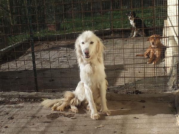 Mariella Occhi Chiari E Naso Rosa