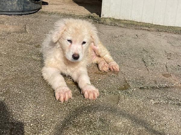 LA TENERA FREYA Foto 4