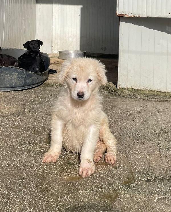 LA TENERA FREYA Foto 5