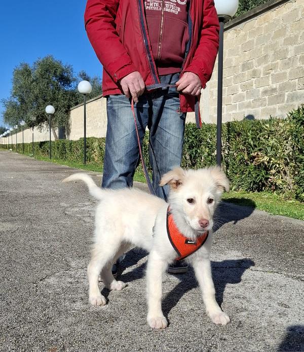 Ninfa Cerca Famiglia. Info Monica 3890238584 Foto 2