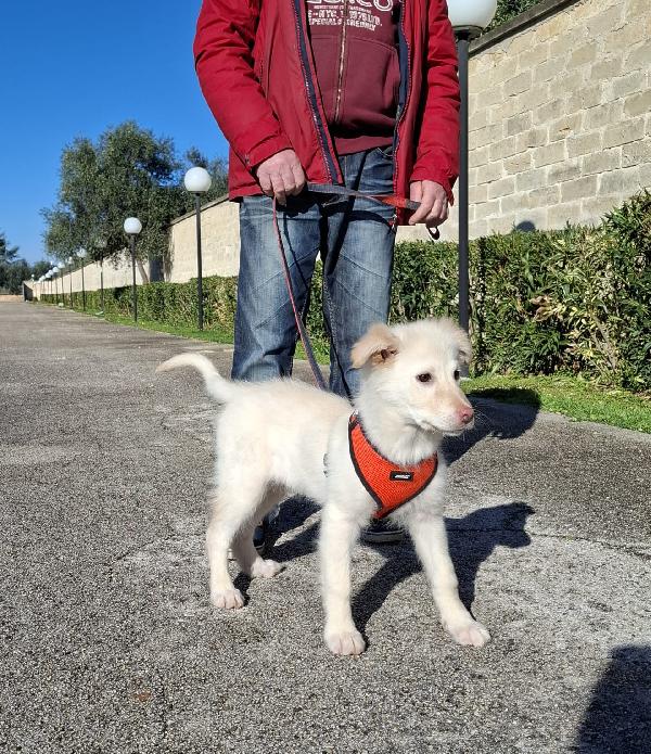 Ninfa Cerca Famiglia. Info Monica 3890238584 Foto 3