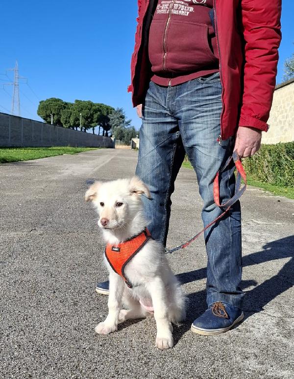 Ninfa Cerca Famiglia. Info Monica 3890238584 Foto 4