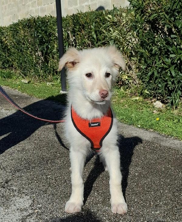 Ninfa Cerca Famiglia. Info Monica 3890238584 Foto 6