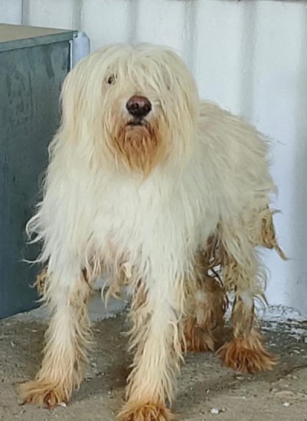 3Anni Entrata Cucciola In 1Lager!Calabria