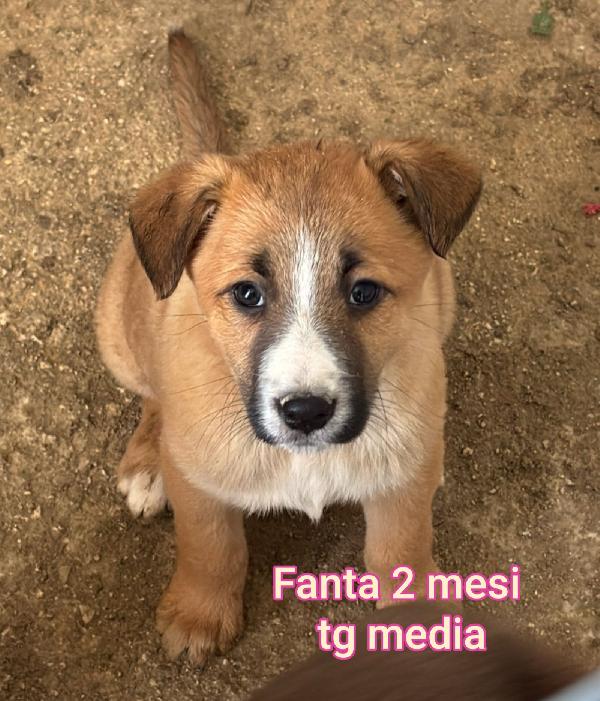 Invisibili cuccioli: due mesi Foto 5