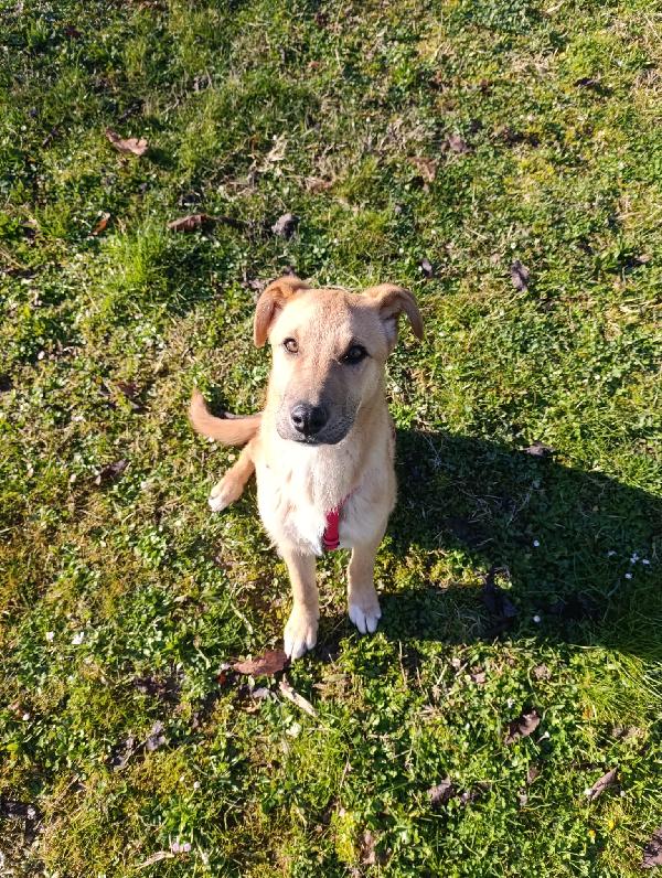 Calliope, Cucciola Dolcissima