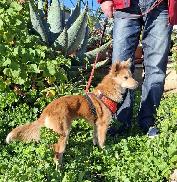 Milly, cerca casa Foto 3