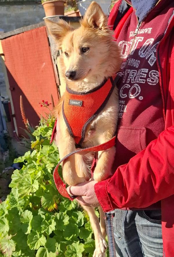 Milly, cerca casa Foto 4