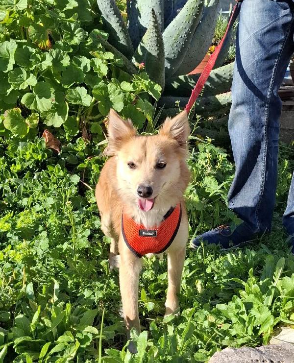 Milly, cerca casa Foto 5