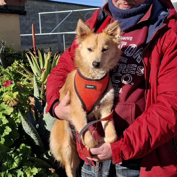 Milly, cerca casa Foto 6